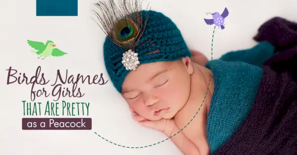 Putnu vārdi meitenēm, kas ir skaistas kā pāvs