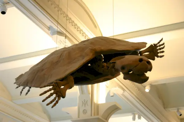 Simbolismo y significado de Stupendemys