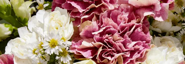 100 beste gelukkige jubileumberichten