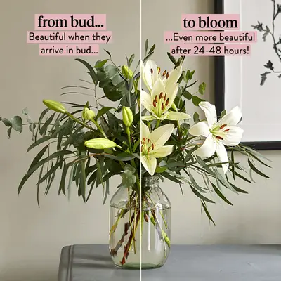 Да ли желите да научите да се бринете о свом цвећу?