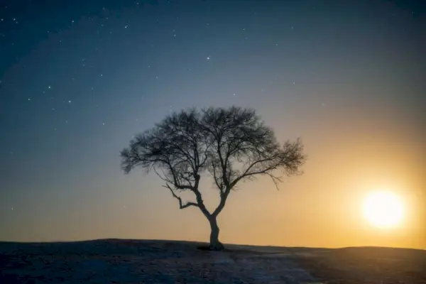 Сънища за треска: какво представляват, какво означават и причини