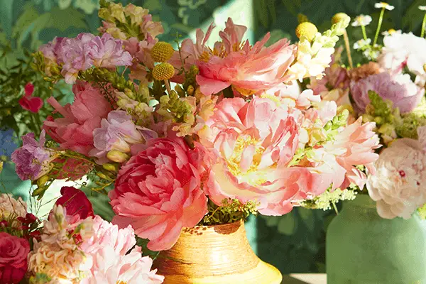 Pink Flower Guide: Hva betyr rosa blomster?
