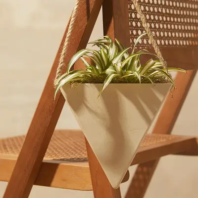 Ihr Leitfaden für die Pflege von Spinnenpflanzen