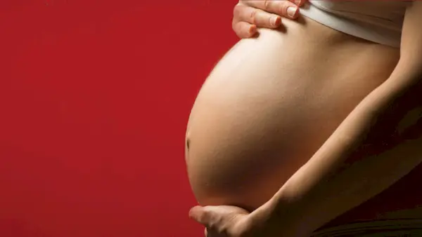 Kruvinas šou: štai ką reikia žinoti