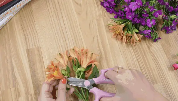 Як штовхати квіти і що з ними робити!