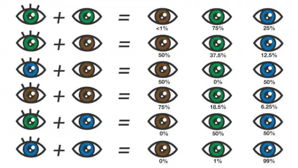 Tabela kolorów oczu: Jaki kolor oczu będzie miało moje dziecko?