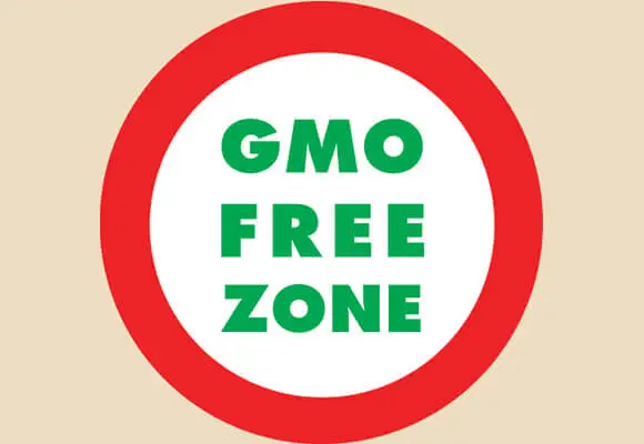 อาหารที่ไม่ใช่จีเอ็มโอ: วิธีหลีกเลี่ยงจีเอ็มโอ (จริง)