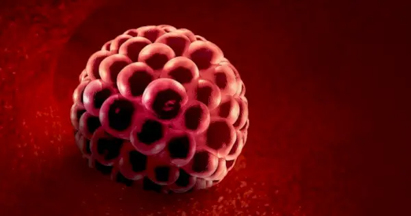 着床出血：その正体と注意すべきこと（写真！）