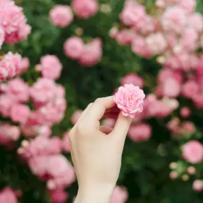 Meditace a praxe vděčnosti, abyste se cítili lépe