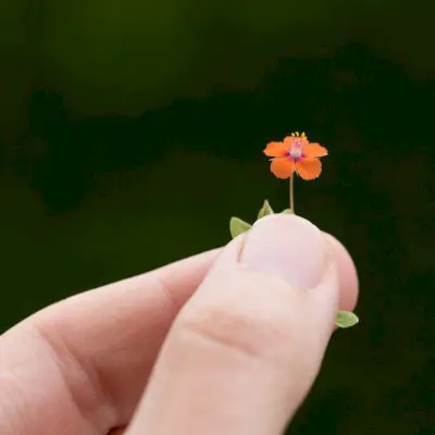 10 ejercicios de mindfulness para incluir en tu rutina diaria