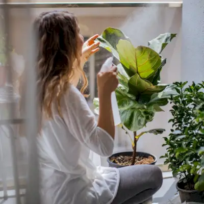 Какво е състояние на потока? Намерете своя поток с тези 6 стъпки