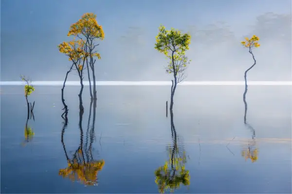 Мантра медитация: какво е, ползи и как да практикувате