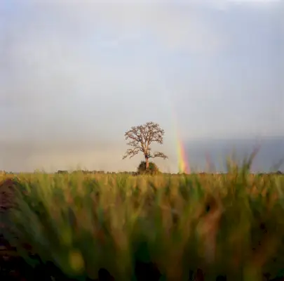 Ako sa vysporiadať s depresiou: 12 tipov, ktoré vám pomôžu zvládnuť to
