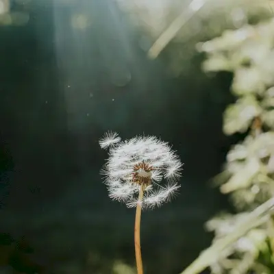 Dialogo interiore negativo: 8 modi per calmare il tuo critico interiore