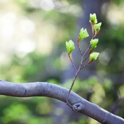 كيف تكون أكثر مرونة: 8 طرق لبناء مرونتك