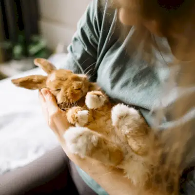 Animalele de companie și sănătatea mintală: animalele de companie vă îmbunătățesc cu adevărat bunăstarea?