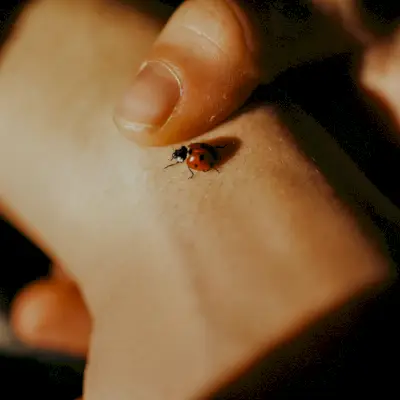 Záblesky: čo sú, prečo na nich záleží a 5 spôsobov, ako ich nájsť