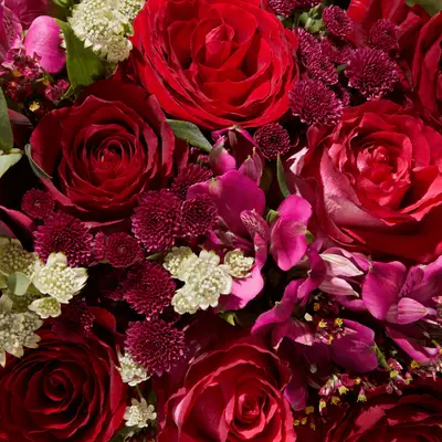 close up of Thefantasynames Liberty blooms