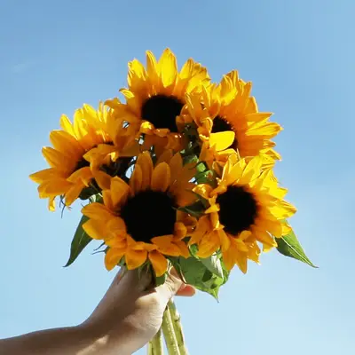 Guide pour les fleurs du jour du mariage