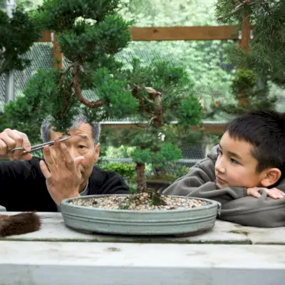 Co to jest uczenie się przez obserwację? Korzyści i sposób działania