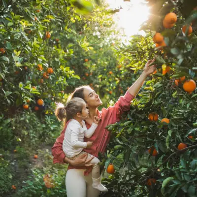 Hur man utvecklar ett överflödstänk: 8 tips som hjälper dig att utvecklas