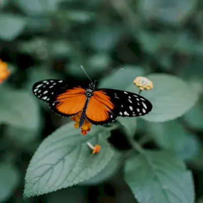 Reinventarse comienza con estos 7 pasos conscientes