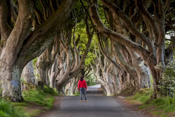 Non so cosa fare della mia vita: come trovare la tua strada