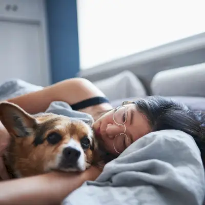 Cum să adormi din nou în miezul nopții