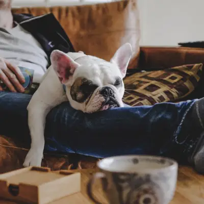 Kahve uykusu: bilim, faydaları ve nasıl içileceği