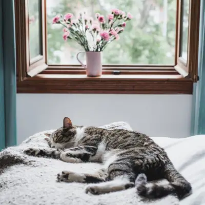 오후 슬럼프를 극복하는 8가지 방법 (커피 없이)