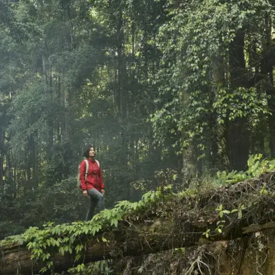 Hiljaisuuden edut ja hiljaisen ajan rituaalin luominen