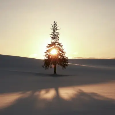 Slik lindrer du feriestress: 6 tips for å overleve ferien