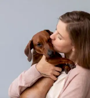 400 namn för husdjur