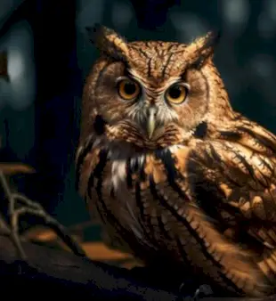 150 pelėdų pavadinimų: kūrybingi ir originalūs