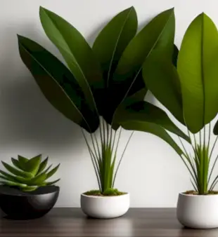 200 noms d'objets avec la lettre S