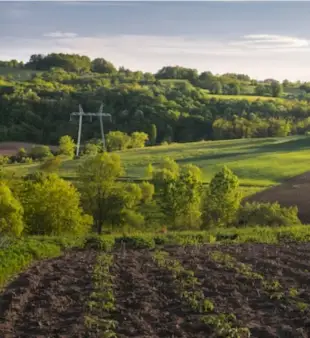 150 pavadinimų ūkiui: kūrybingas ir gražus