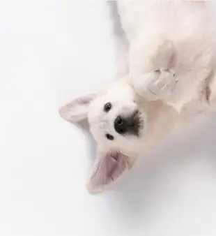 200 jmen pro fenku (fenku)