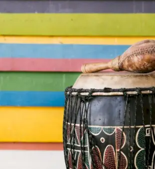 200 imen predmetov s črko T