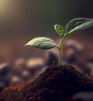 Wörter, die sich auf das Leben reimen: 200 Wörter